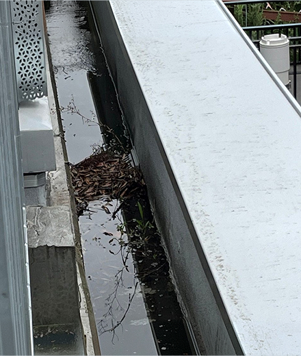 清掃前：落ち葉と泥が溜まり水が滞留した屋上の排水溝