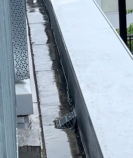 清掃後：堆積物が除去され排水口が現れた屋上の排水溝